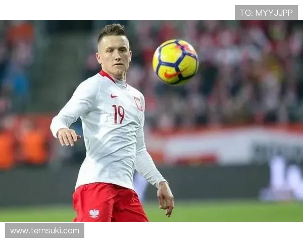 塞尔维亚主帅斯托伊科维奇辞职因球队0-1不敌阿尔巴尼亚引发关注